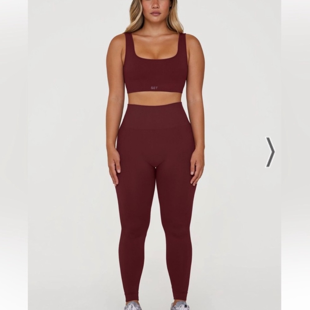 SET Active Sculpt Flex Burgundy Leggings and Bra Set
